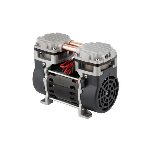 ձ PNK PP 300V