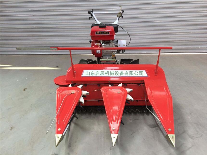 C(j)ˮʽ״ޣС?zhn)ոC(j)