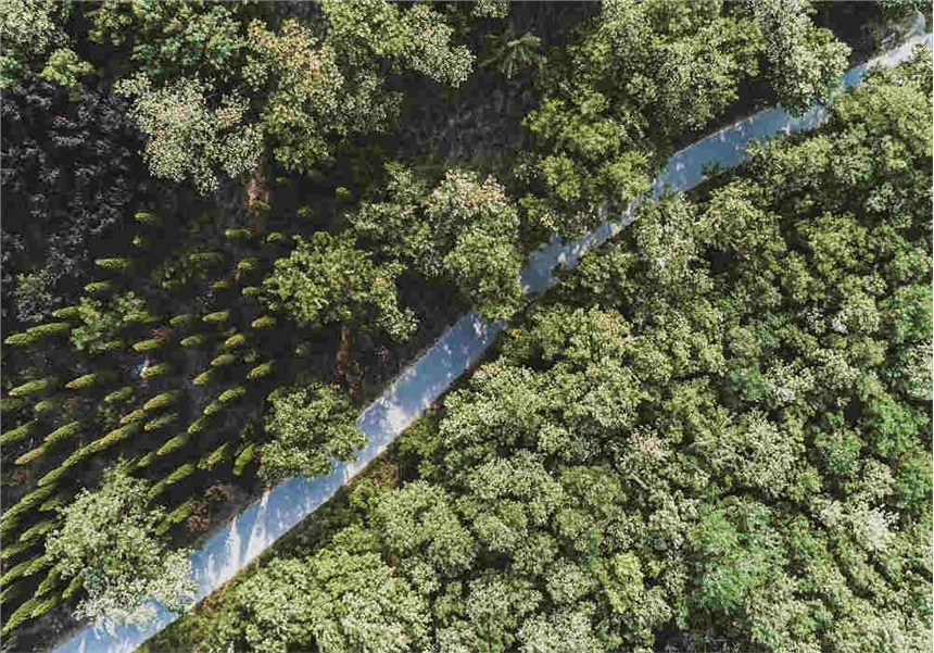 _(ki)йĘǅ^(q)o(w)˙C(j)y(c)LAбzӰ_o(w)˙C(j)zy(c)L