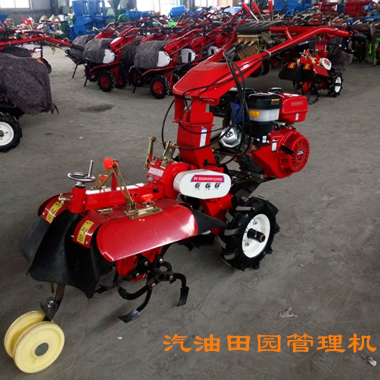 186_ϙC(j) 10R늆(dng)_ϙC(j) ๦Iһ