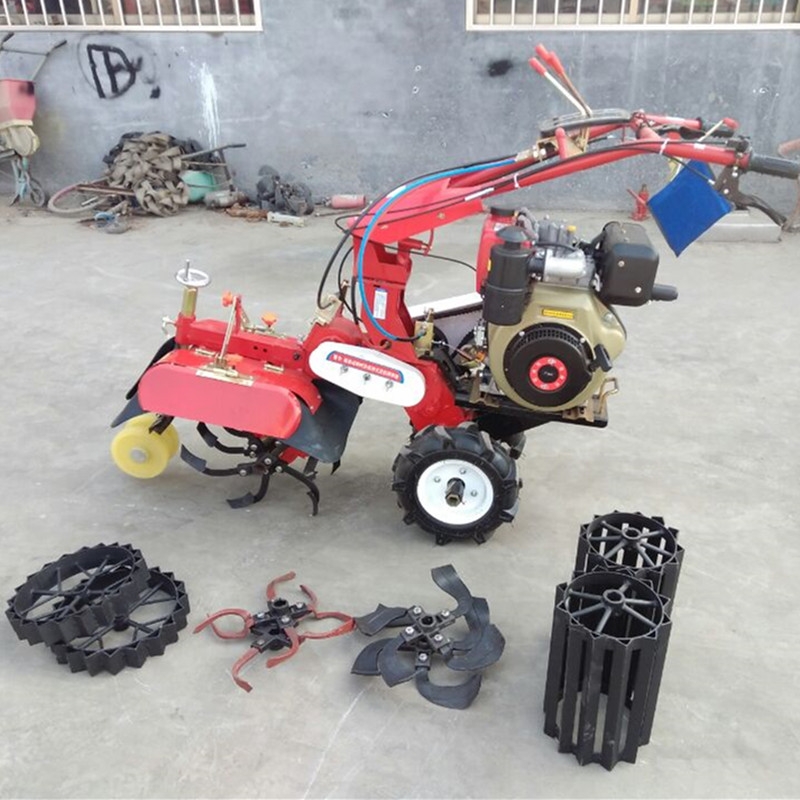 [Nֲ_C SֱNͲ̈́_ϙC @C