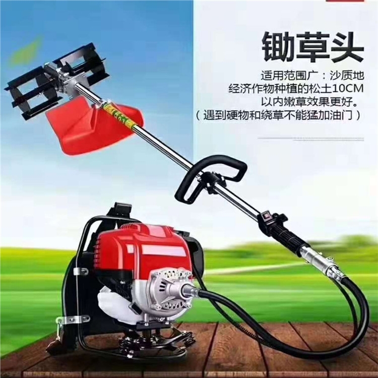 ɽС͸ؙC(j) 176ˮC(j) СַC(j)