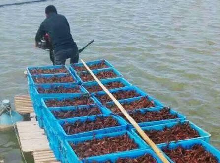 НMB(ti)r(nng)I(y)޹˾