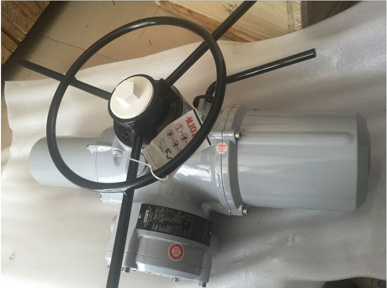 _пROTORK(zh)IQT125/IQT250/IQT500/IQT1000