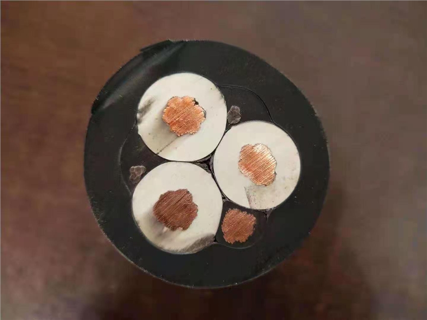 yyMY 1*25VƄ(dng)|SֱN(xio)