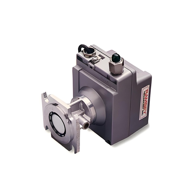 N۹(yng)RAMSEYƫ_(ki)P(gun)