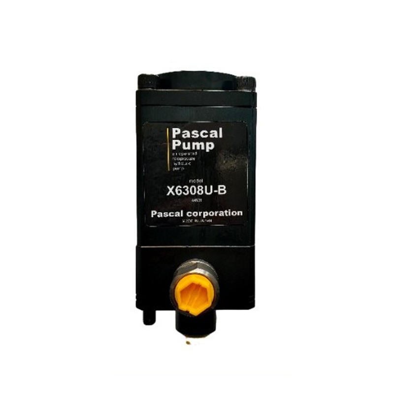 N۹(yng)PASCAL늴y