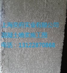 {ʩ
