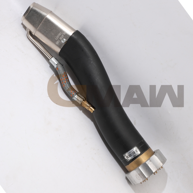 ˹pzC˺ IGMpzC˺(do)