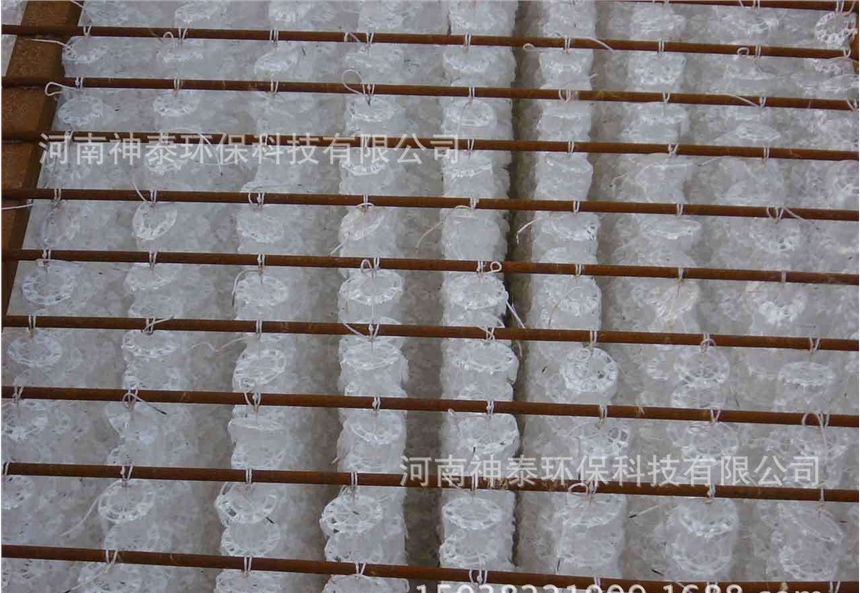 Դ^S a(chn) M ă(yu)