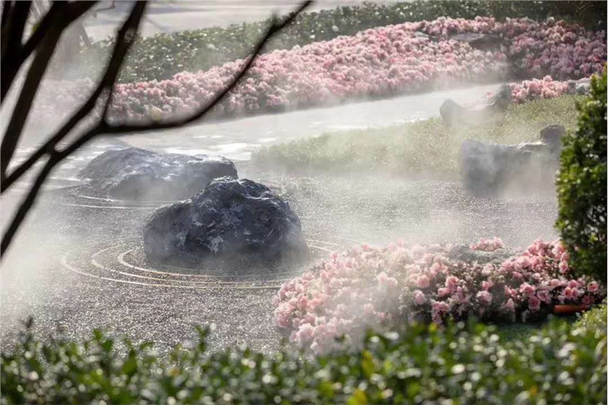 ɽ쾰ɽʯ l(f)ɫ^ʯ ɽʯS