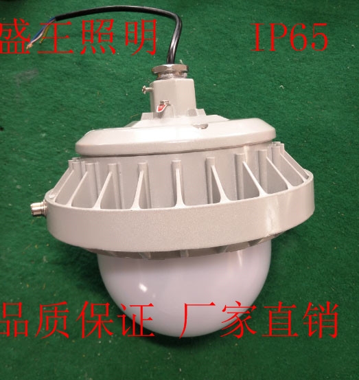 YP01_ѣLEDƽ_YP01_2025Ѹ£/YӍ