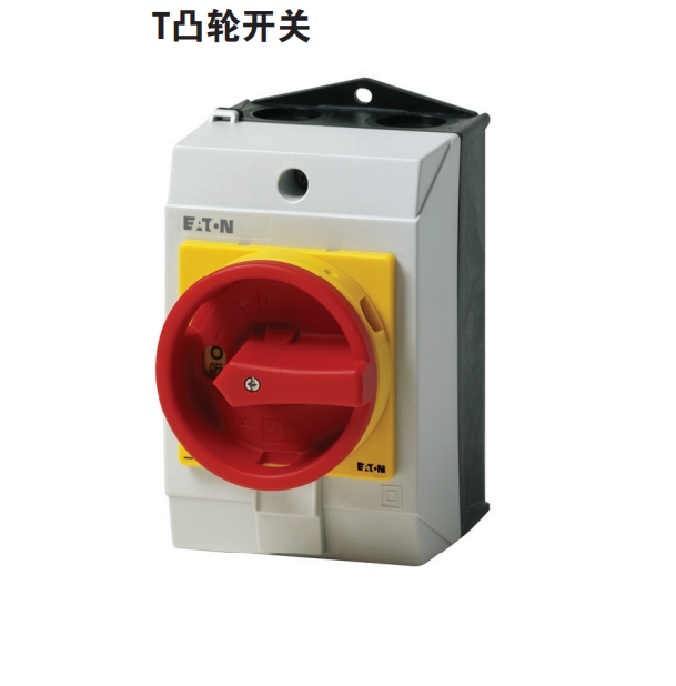 D Tϵ͹݆_P