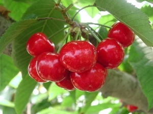 ̩_ÓҘ/ï܊ľsell/_˹8̖(ho)