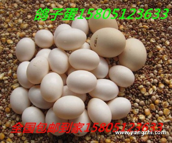 ӵX(qin)һöuӵ