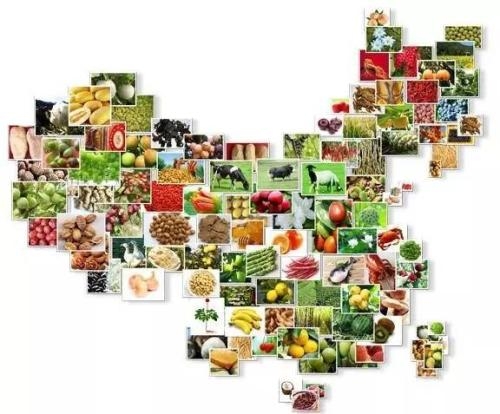 VM(jn)P(gun),n(gu)M(jn)P(gun),R(li)M(jn)P(gun),P(gun)M(jn)P(gun)