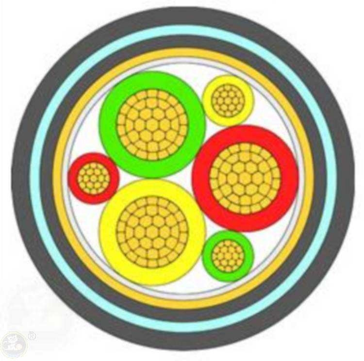 쿵ߜؿ|쿵ơYӍ/