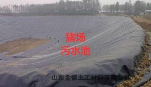 (bio)1.01.5mmӚغĤϔ(sh)ʯɽ