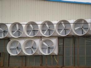 (zhn)܇gɢͨL(fng)O(sh)䣬Kؓ(f)L(fng)C(j)a(chn)l(f)