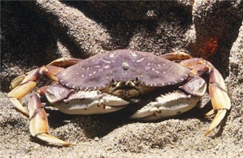 uˮa(chn)ƷMڈP(gun)