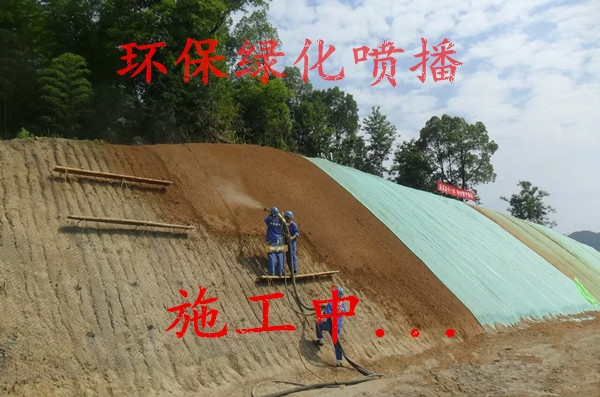 VɽGNݙC(j)^W(wng)C(j)Fݺ