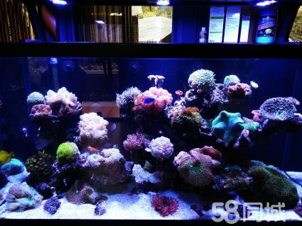 ϺRBɽˮ޹˾ϴ~(y)~(y)׳