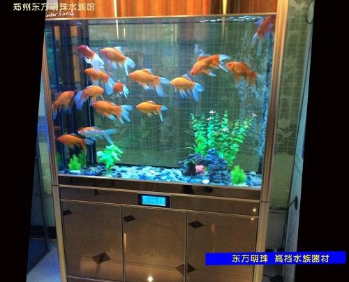 上海力中專業(yè)魚缸魚池清洗魚缸出租出售