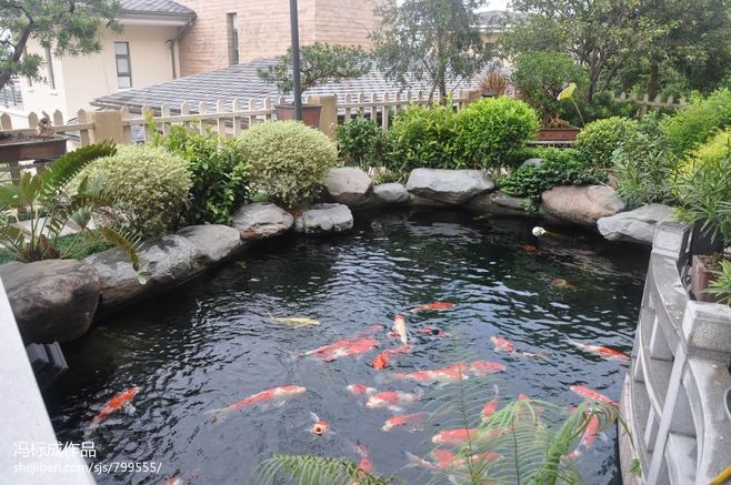 上海普陀魚(yú)缸長(zhǎng)期維護(hù)魚(yú)缸清洗魚(yú)池清洗