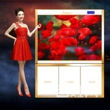 專業(yè)護(hù)理大 中型熱帶觀賞魚 魚缸 清洗 魚缸維護(hù) 清洗魚池