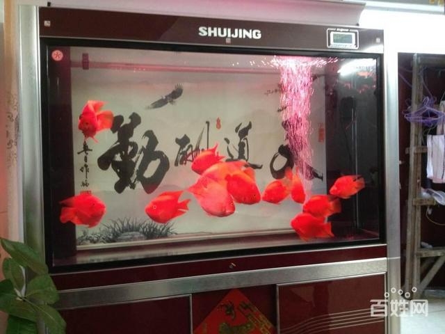 Ϻչ(hu)~׳⌣I(y)ϴS~~׾So(h)