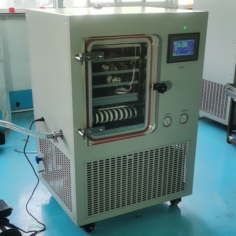 LGJ-30F硅油加熱普通型凍干機廠家 實驗室生物冷凍干燥機價格
