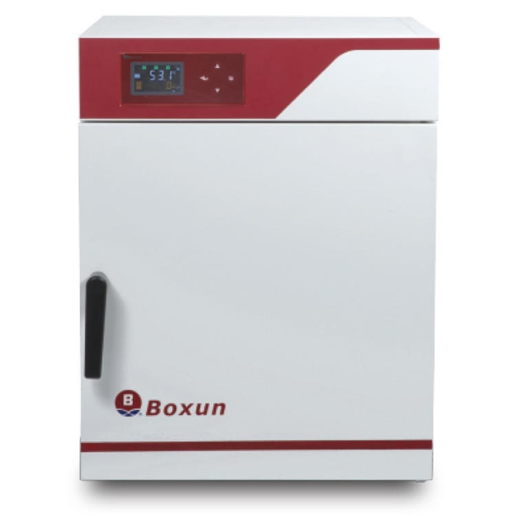 BGZ-246(sh)(yn)ùL(fng) 늟L(fng)r(ji)