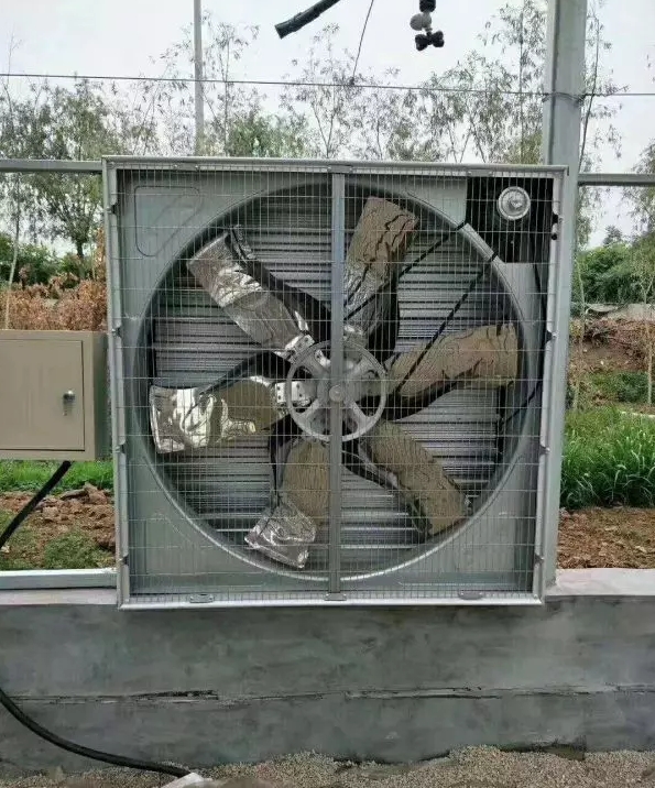 \ؓL(fng)CI(y)L(fng)ȴʏoŚ