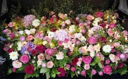 告白鮮花崇尚美好 讓你擁有追求美的機(jī)會(huì)