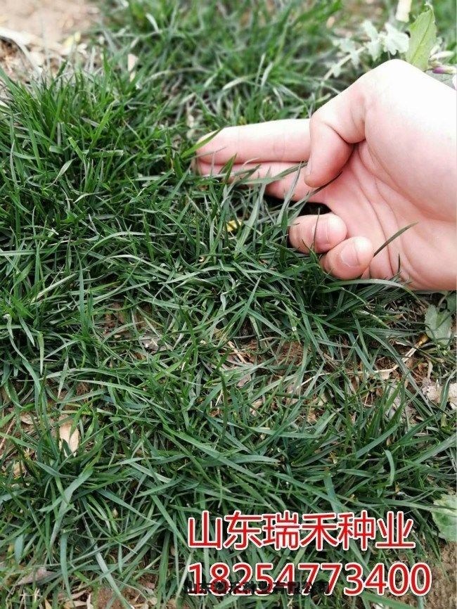 ݷNӶX(qin)һé
