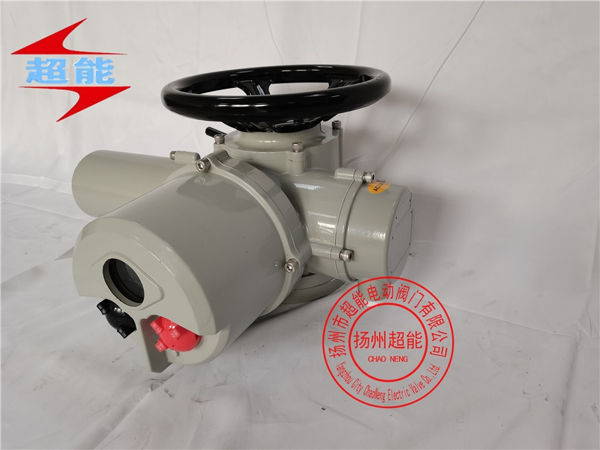 GXZT20-24電動執(zhí)行器
