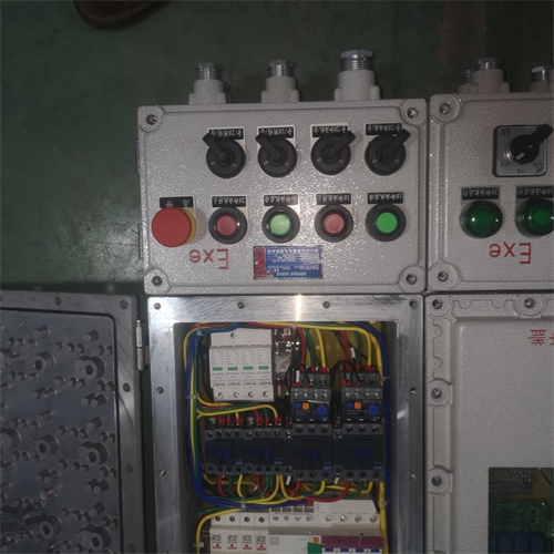 BXX51 100(dng)z޲