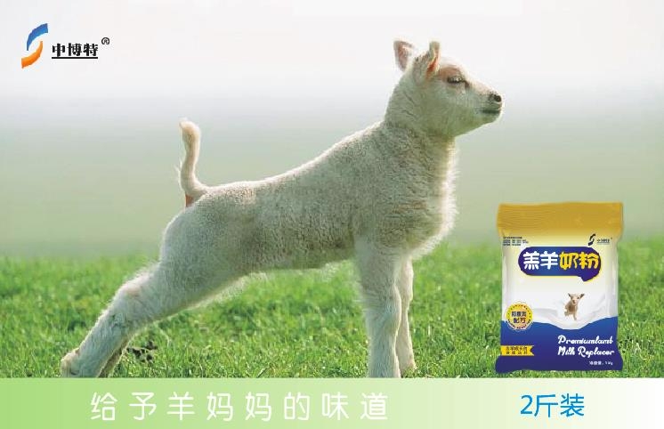 ̷ۻ𱬟N