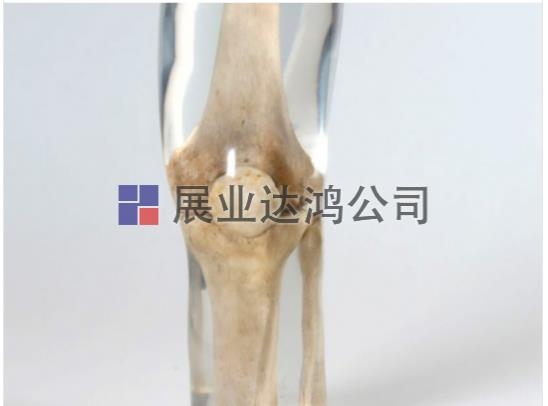 QUART X侀ϥwģw