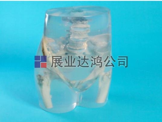 QUART X侀yP(gun)(ji)ģw