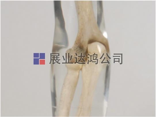QUART X侀Ӗ(xn)ֱģw