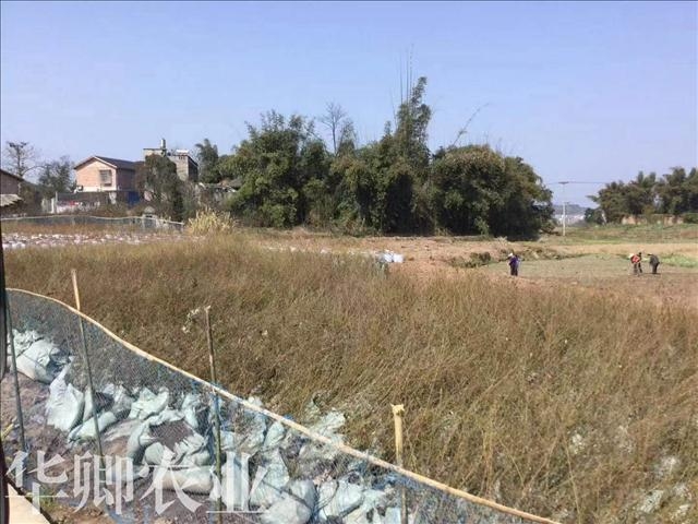 土資訊=江北區(qū)花卉培養(yǎng)土多少錢