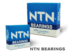 NTNSϺNTNSй˾