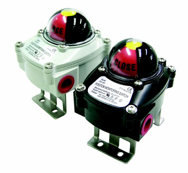 ITS100\300\500г_(ki)P(gun)