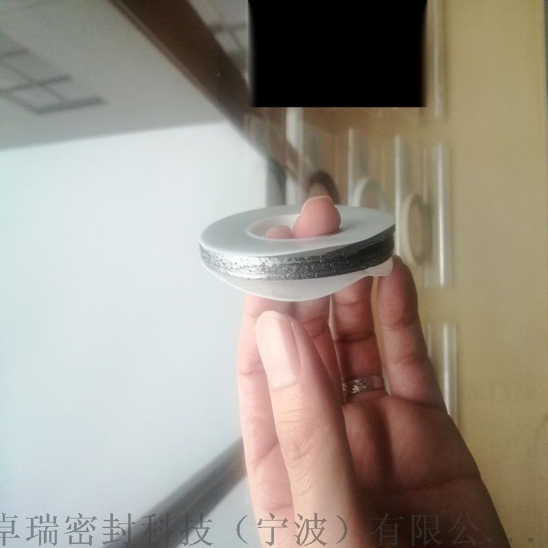 聚四氟乙烯夾包墊片,密封墊片