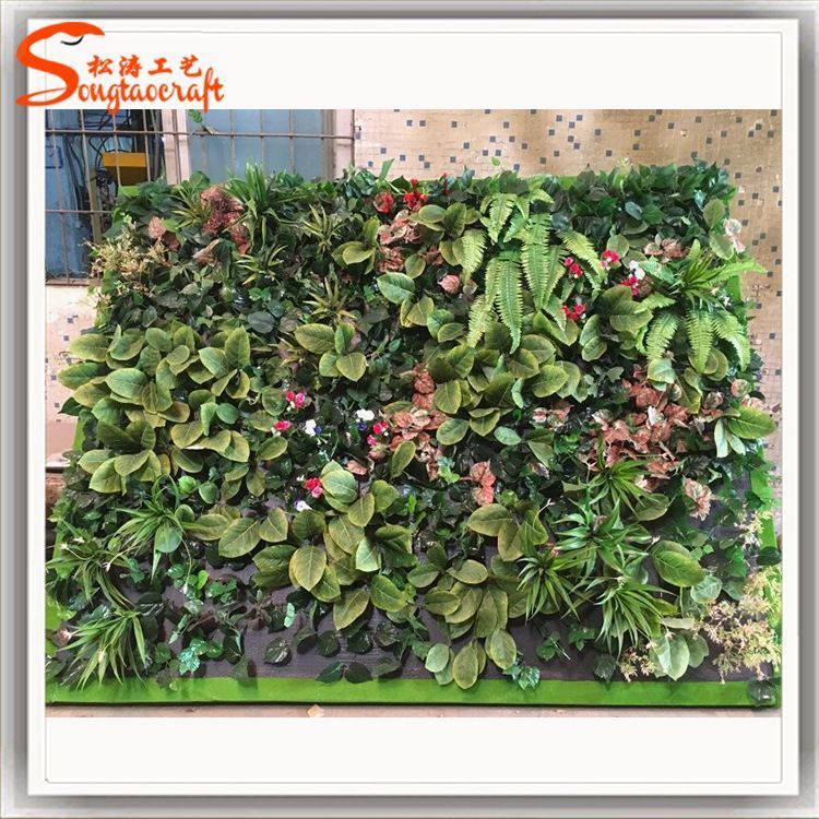 SֱNGֲb˾ǰ_(ti)ֲĭl(f)