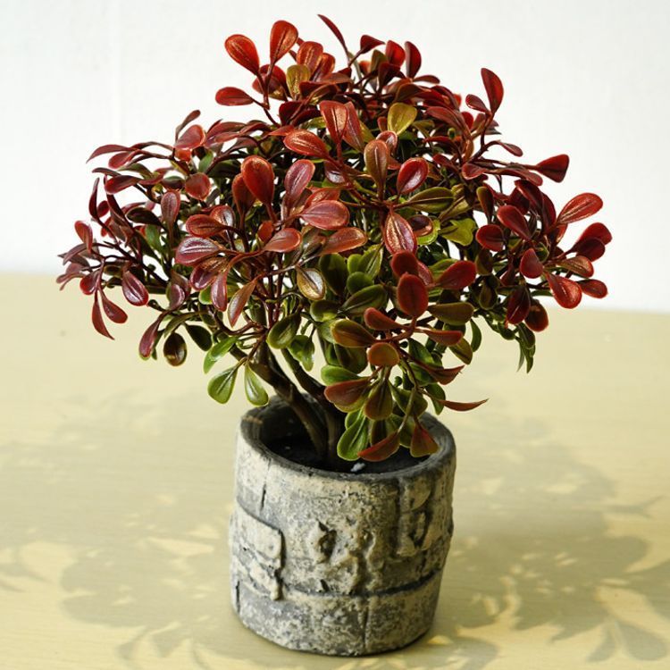 2019¿ֲl(f)St~СԶYƷGֲb