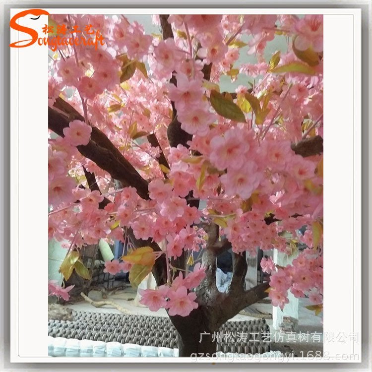 ɝSֱNٙѻͷcĔzղ[һ