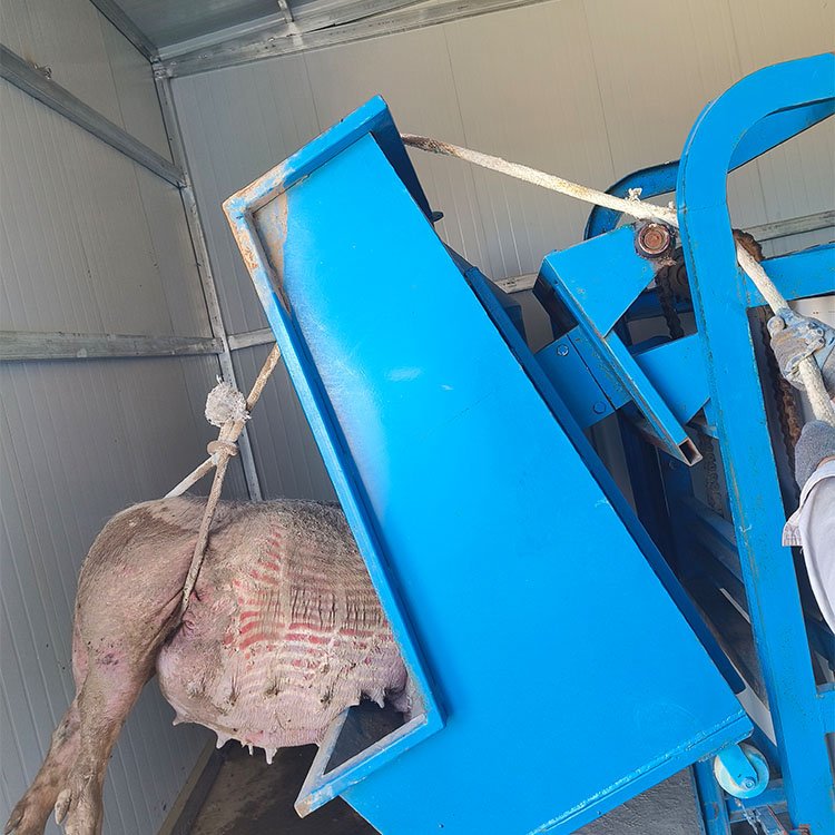 ｵCB(yng)ֳil(f)O(sh)o̎һwC