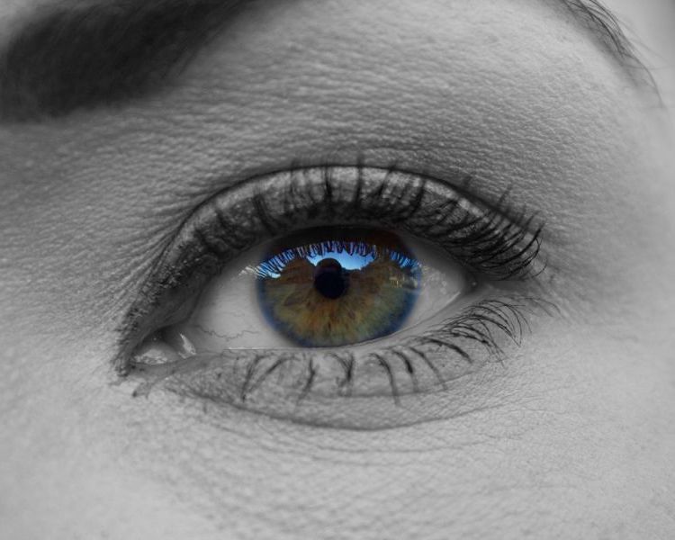 ϺM(jn)ڻyƷP(gun)עڻyƷP(gun)gӭԃM